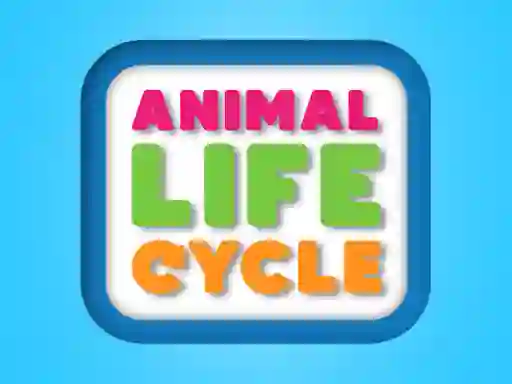 게임 Animal Life Cycle 온라인