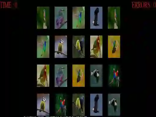 게임 Memorize the birds 온라인