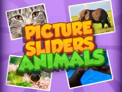게임 Picture Slider Animals 온라인