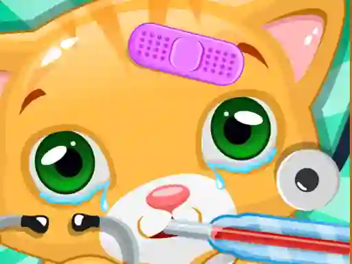 게임 Little Cat Doctor 온라인