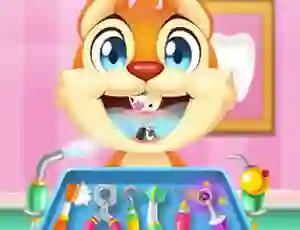 게임 Crazy Animals Dentist 온라인