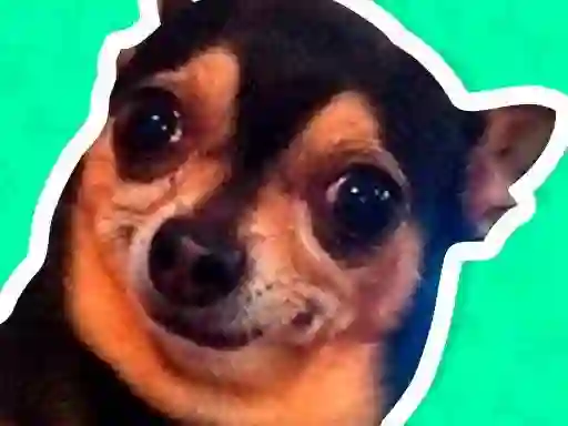 게임 What meme dog are you ? 온라인