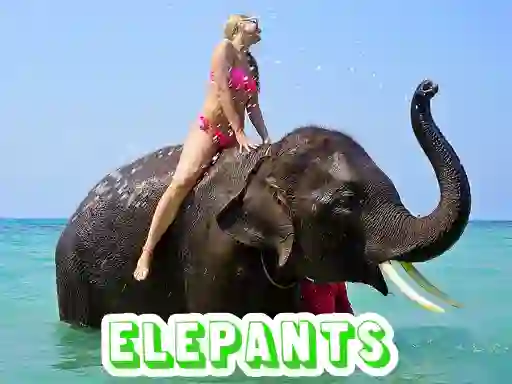 게임 Elephants Puzzle 온라인