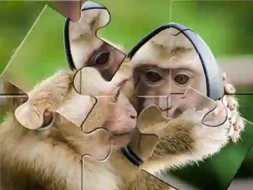 게임 Chimpanzee Jigsaw 온라인