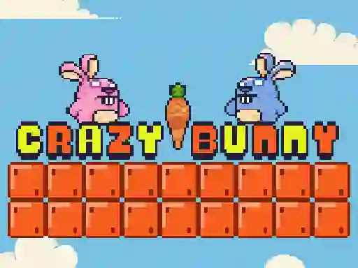 게임 Crazy Bunny 온라인
