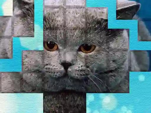 게임 PicPu Cat 온라인
