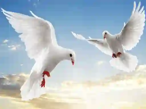 게임 Flying Birds 온라인
