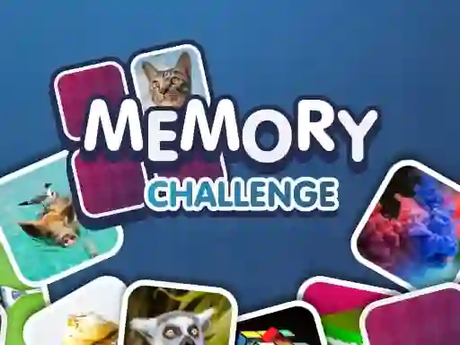 게임 Memory Challenge 온라인
