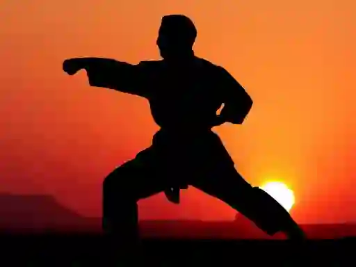 게임 Karate Sunset Warriors 온라인
