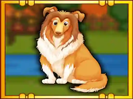 게임 Bernese Mountain Dog Escape 온라인
