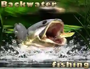 게임 Backwater Fishing 온라인