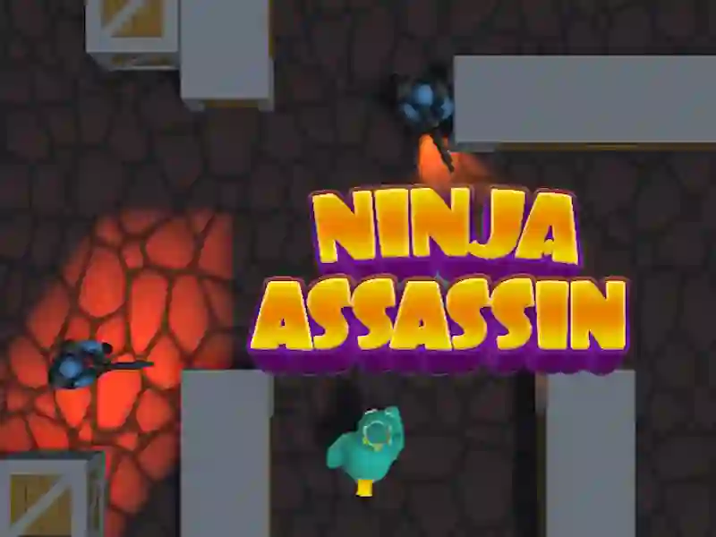 게임 Ninja Assassin 온라인