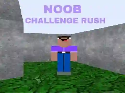 게임 Noob Challenge Rush 온라인