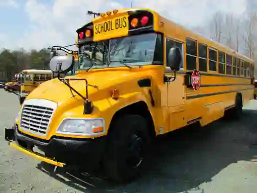 게임 School Buses Puzzle 온라인