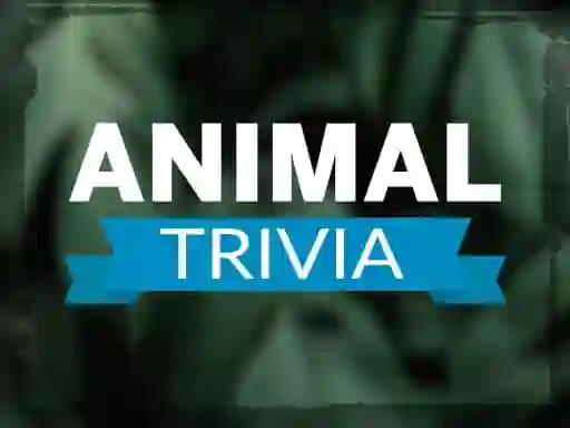 게임 Animal Trivia 온라인