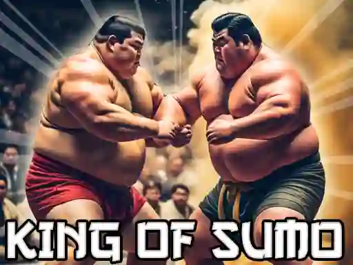 게임 King Of Sumo the ultimate brawl 온라인