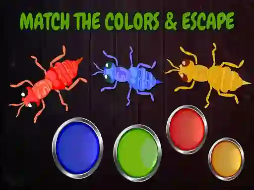 게임 Ants 온라인