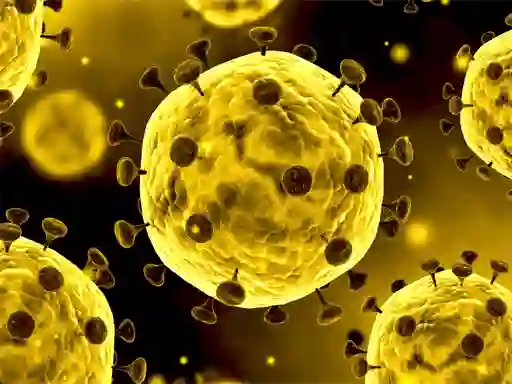게임 Coronavirus Slide 온라인