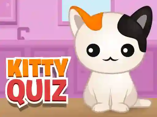 게임 Kitty Quiz 온라인