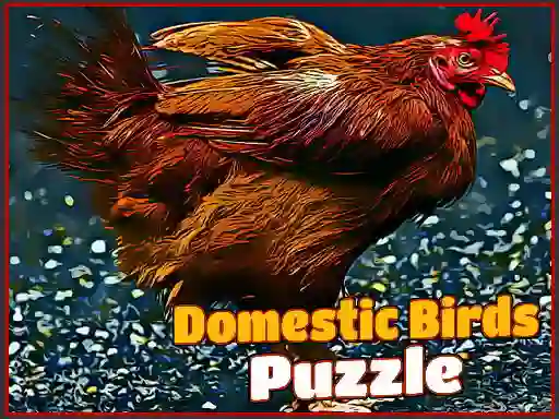 게임 Domestic Birds Puzzle 온라인