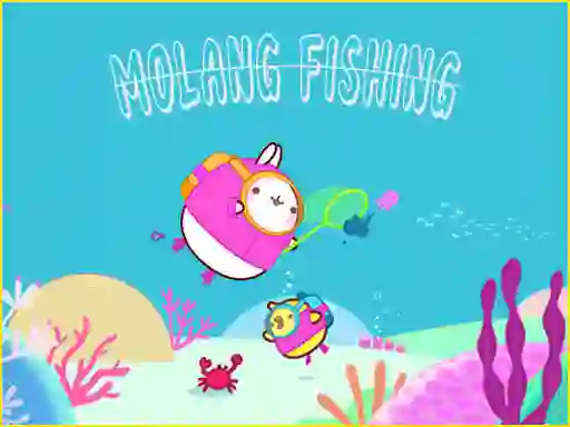 게임 Molang 온라인