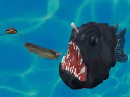 게임 Fish 3d 온라인