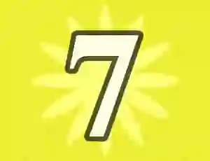 게임 Number 7 온라인