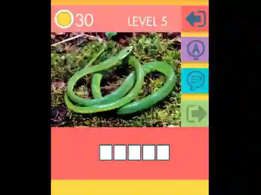 게임 15 Picture Quiz 온라인