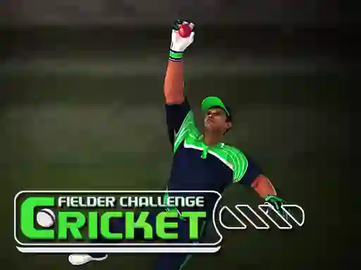 게임 Cricket Fielder Challenge 온라인