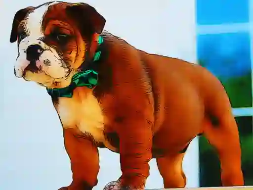 게임 Bulldog Puppy Puzzle 온라인