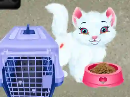 게임 Baby Taylor Pet Care 온라인