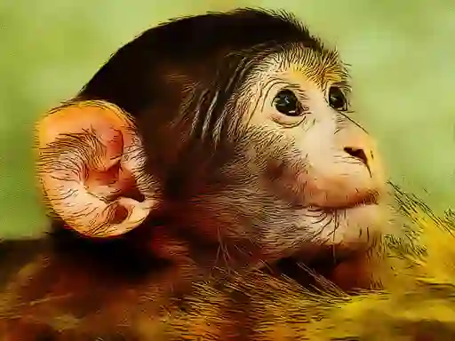 게임 Funny Baby Monkey 온라인