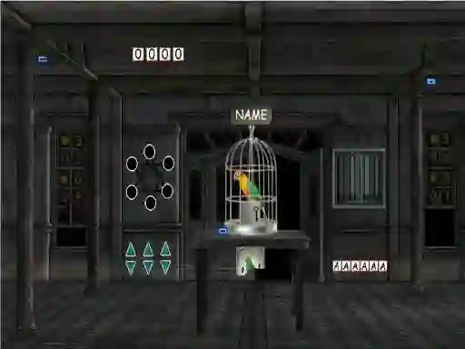 게임 Parrots Escape 온라인