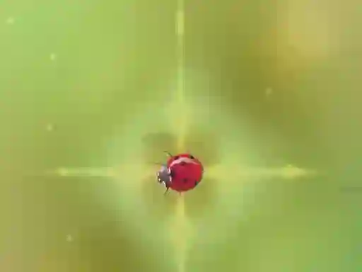 게임 Pest Control 온라인