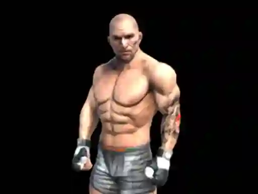 게임 Fight Arena Online 온라인