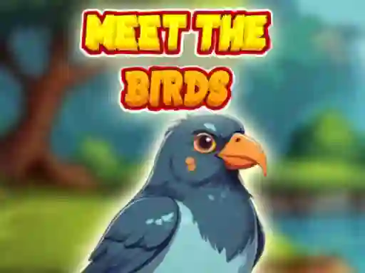 게임 Meet The Birds 온라인