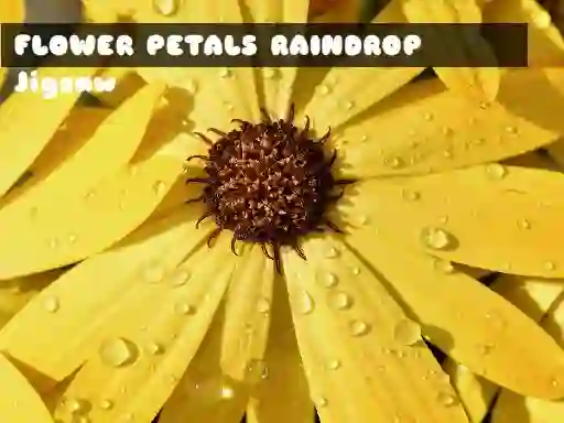 게임 Flower Petals Raindrop Jigsaw 온라인