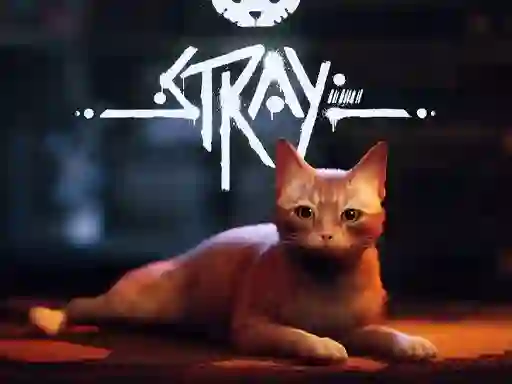 게임 Stray 온라인