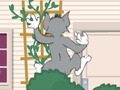 게임 톰과 제리: Wasserbomben Wahnsinn  온라인