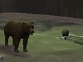 게임 곰  온라인