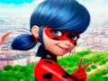 게임 LadyBug 직소 퍼즐 컬렉션  온라인