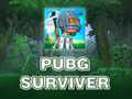 게임 PUBG 생존자  온라인