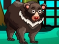 게임 곰 탈출  온라인