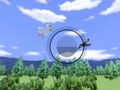 게임 Wii 스포츠 조류 관찰  온라인