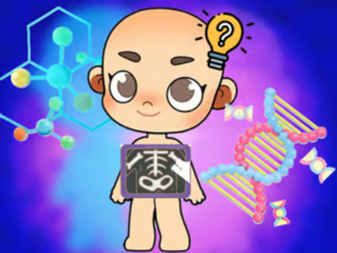 게임 어린이 퀴즈 : 바디 과학  온라인