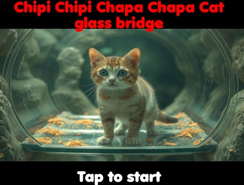 게임 Chipi Chipi Chapa Chapa 고양이 유리 다리  온라인
