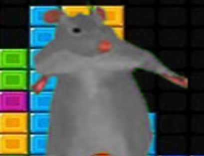 게임 Ratomilton 떨어지는 블록  온라인