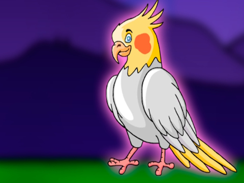 게임 케이지에서 Cockatiel 새를 풀어주십시오  온라인