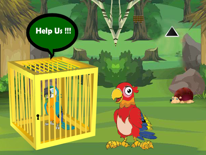 게임 릴리스 갇힌 Macaw Buddy 온라인