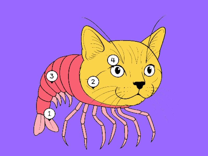 게임 뇌 채색 퍼즐 온라인